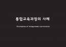 통합교육과정,통합교육의필요성,통합교육의긍정적측면,통합교육의정의,통합교육의등장배경 33페이지