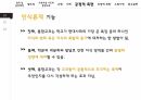 통합교육과정,통합교육의필요성,통합교육의긍정적측면,통합교육의정의,통합교육의등장배경 40페이지