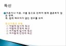 현대사회와가족,전통사회에서의가족,현대사회에서의가족,확대가족,핵가족,전통가족,가족의구조변화,가족의고유기능,독신가구 30페이지
