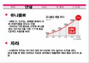 SPA,SPA브랜드정의,SPA브랜드의한계점,SPA브랜드현황,SPA브랜드강점,SPA SWOT 분석 6페이지