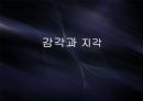 감각과 지각,물리적 세계,세계간의 관계,이론적 절대식역,신호탐지 이론 1페이지