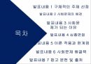 다이어트와사회문화적영향,사회문제해결책,이론적용과한계점,사회문제가되는이유,사회문제배경 2페이지