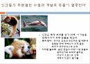 동물학대,허술한동물보호법,동물학대해결방안,동물보호단체,애완동물,애완동물이아동에게미치는긍정적영향,동물의권리,환경부멸종위기동물 15페이지