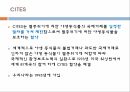 동물학대,허술한동물보호법,동물학대해결방안,동물보호단체,애완동물,애완동물이아동에게미치는긍정적영향,동물의권리,환경부멸종위기동물 18페이지