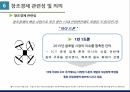 드론,드론 개념,드론의 기술,드론 역기능,무인항공기,창조경제 관련성 19페이지