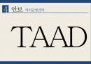 미국정치론,미중관계,갈등관계,역외균형정책과,사이버해킹,AIIB와 RCEP 18페이지
