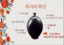 백자의 확산,청화백자,백자의 확산과정,청화 백자,도자 문화,석간주의 탄생 15페이지