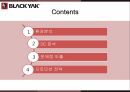 블랙야크 마케팅,블랙야크 스포츠,블랙야크 아웃도어시장,블랙야크 성공사례,블랙야크 전략 2페이지