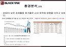 블랙야크 마케팅,블랙야크 스포츠,블랙야크 아웃도어시장,블랙야크 성공사례,블랙야크 전략 3페이지