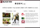 블랙야크 마케팅,블랙야크 스포츠,블랙야크 아웃도어시장,블랙야크 성공사례,블랙야크 전략 4페이지