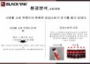 블랙야크 마케팅,블랙야크 스포츠,블랙야크 아웃도어시장,블랙야크 성공사례,블랙야크 전략 5페이지