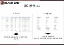 블랙야크 마케팅,블랙야크 스포츠,블랙야크 아웃도어시장,블랙야크 성공사례,블랙야크 전략 6페이지
