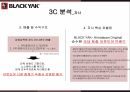 블랙야크 마케팅,블랙야크 스포츠,블랙야크 아웃도어시장,블랙야크 성공사례,블랙야크 전략 7페이지