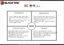블랙야크 마케팅,블랙야크 스포츠,블랙야크 아웃도어시장,블랙야크 성공사례,블랙야크 전략 8페이지