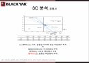 블랙야크 마케팅,블랙야크 스포츠,블랙야크 아웃도어시장,블랙야크 성공사례,블랙야크 전략 9페이지