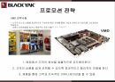 블랙야크 마케팅,블랙야크 스포츠,블랙야크 아웃도어시장,블랙야크 성공사례,블랙야크 전략 15페이지