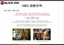 블랙야크 마케팅,블랙야크 스포츠,블랙야크 아웃도어시장,블랙야크 성공사례,블랙야크 전략 16페이지