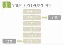 상향적 처리,하향적 처리,RBC이론,단어 우월 효과,게슈탈트 법칙,행동 분석 연구,감정 유발 연구 4페이지
