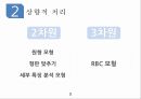 상향적 처리,하향적 처리,RBC이론,단어 우월 효과,게슈탈트 법칙,행동 분석 연구,감정 유발 연구 5페이지