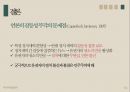 종편 보도의 선정성,미디어 내용분석,종합편성채널,방송사 신뢰도,TV조선,JTBC,채널A,MBN 32페이지