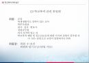 학교폭력관련법과정책,청소년보호법,학교폭력관련법규,법무부와그소속기관직제 13페이지
