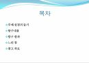 황금비,레오나르도 다빈치,균제비례,피타고라스의 정리,원근법,투시원근법,마방진 2페이지