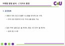 CU마케팅환경분석,미시환경,거시환경,SWOT분석 2페이지