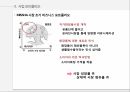 WHY MISSHA,MISSHA,소비자에서 시작한 미샤 마케팅,변화하는 미샤,미샤의 현재 한계에 대한 고민 11페이지