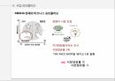 WHY MISSHA,MISSHA,소비자에서 시작한 미샤 마케팅,변화하는 미샤,미샤의 현재 한계에 대한 고민 12페이지
