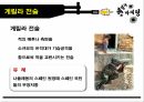 게릴라마케팅,전쟁과마케팅,마케팅 9페이지