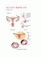 지구에서만나살아가는남자와여자,중간고사,기말고사,족보 7페이지