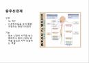 중추신경 재활대상자의 포괄적 기능평가와 간호중재 2페이지