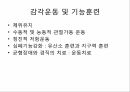 중추신경 재활대상자의 포괄적 기능평가와 간호중재 27페이지
