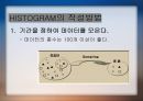 08_조별과제_QC 7가지 Tool_히스토그램, 줄기잎 정리 5페이지