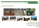 [관광개발론 과제] 한국민속촌 성공요인 / 관광지 성공요인 10페이지