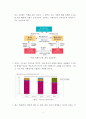 A+학점, 비자(VISA) 비즈니스 모델 분석 3페이지