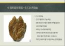 (과제) 희토류의 종류와 용도 소개 발표 PPT 11페이지
