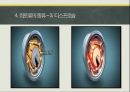 (과제) 희토류의 종류와 용도 소개 발표 PPT 12페이지