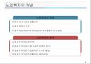 노인복지의 이해 13페이지