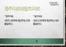 (A+)피로의 전반적인 내용에 관한 ppt 발표 자료입니다. 9페이지