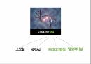 (A+ 발표자료 + 대본) 노화와 영양에 대한 분석 4페이지