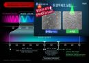 (A+ 발표자료 + 대본) 노화와 영양에 대한 분석 8페이지