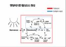 (A+ 발표자료 + 대본) 노화와 영양에 대한 분석 9페이지