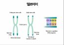 (A+ 발표자료 + 대본) 노화와 영양에 대한 분석 11페이지