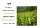 (A+ 발표자료 + 대본) 노화와 영양에 대한 분석 20페이지