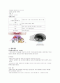 보건교육- 알레르기 5페이지