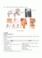 대퇴경부골절 문헌고찰 4페이지
