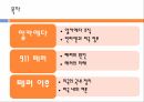 911 테러와 미국의 국내정치,알카에다,911테러,알카에다조직,911 테러의 원인과 피해,미국내의여론,음모론설 2페이지