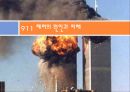 911 테러와 미국의 국내정치,알카에다,911테러,알카에다조직,911 테러의 원인과 피해,미국내의여론,음모론설 13페이지