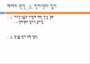 911 테러와 미국의 국내정치,알카에다,911테러,알카에다조직,911 테러의 원인과 피해,미국내의여론,음모론설 16페이지